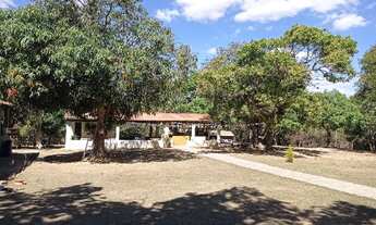 Imagem 6: Sitio de 4 hectares Toda Formada, Muita Água, Localizado no Santo Antônio do Descoberto