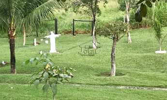 Imagem 4: Sítio a venda possui 2 alqueire no Santo Antônio do Pontal