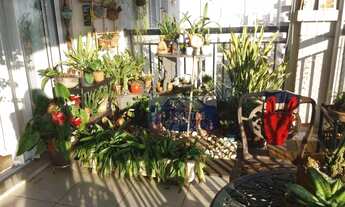 Imagem 2: Apartamento residencial à venda, Belenzinho, São Paulo