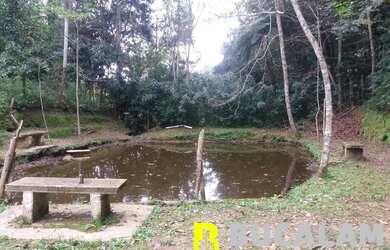 Imagem 16: CHÁCARA PARA VENDA/LOCAÇÃO EM SÃO LOURENÇO DA SERRA