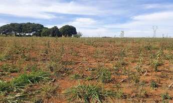 Imagem 5: Área industrial entre Artur Nogueira e Limeira - SP