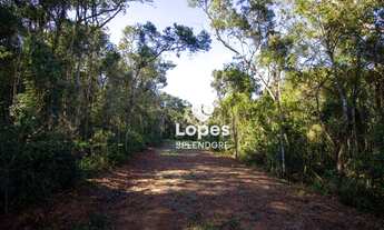 Imagem 3: Terreno à venda, 16850 m² por R$ 650.000,00 - Centro (Canguera) - São Roque/SP