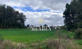 Imagem 5: CAXIAS DO SUL - Terreno Padrão - Monte Bérico