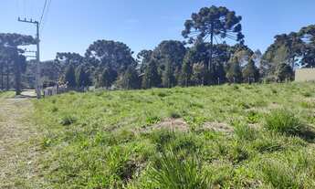 Imagem 2: Terreno URBANO com 1436 m² no Centro de Campo Alegre - SC