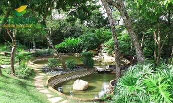 Imagem 7: Terreno Belvedere I