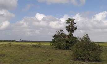 Imagem 4: Sítios em barreirinhas 5.000 mt2 parcelados