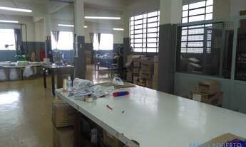 Imagem 3: COMERCIAL - IPIRANGA - SP