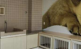 Imagem 6: ! Clube Atalaia Apartamento com 3 dormitórios