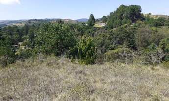 Imagem 1: Terreno à venda, 1184 m² por R$ 120.000 - Vila Chantal - Campos do Jordão/SP