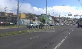 Imagem 5: Terreno para comprar no bairro Hípica - Porto Alegre