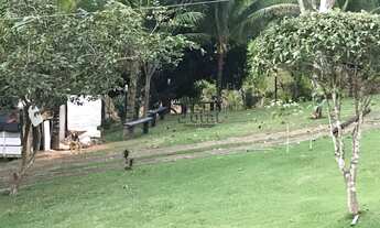 Imagem 7: Sítio a venda possui 2 alqueire no Santo Antônio do Pontal