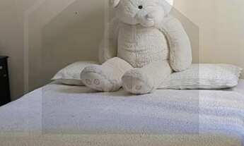 Imagem 6: Apartamento - Parque São Quirino - Campinas