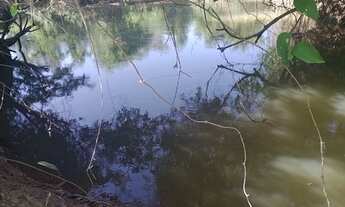 Imagem 6: 100 Héctares disponível sendo 73 mecanizavel