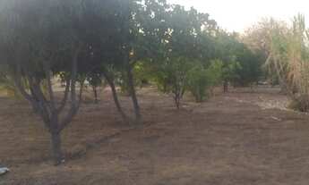 Imagem 5: Sìtio no Serrote da Batateira