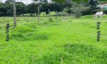 Imagem 7: DB- Vendo Terreno para seu investimento