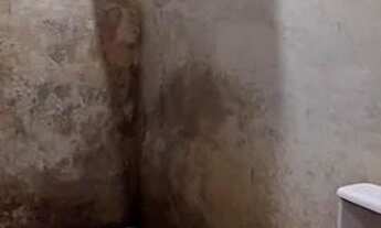 Imagem 3: Vendo Casa com 1 dormitório