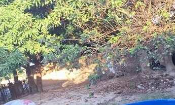 Imagem 2: Terreno Terreno / lote com venda por R$50