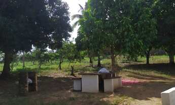 Imagem 4: Chácara em Salgado