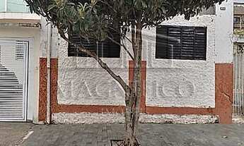 Imagem 5: São Caetano do Sul - Casa Padrão - Santa Maria