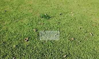 Imagem 1: TERRENO PARA VENDA NO ALPHAVIILE II