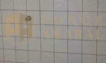 Imagem 3: Casa residencial para locação, Vila Popular, Bauru