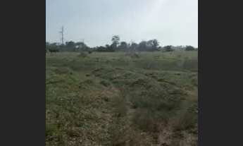 Imagem 5: Fazenda - Bairro Gleba Iriri