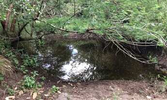 Imagem 5: Excelente Fazenda em Sapeaçu com 150 TA