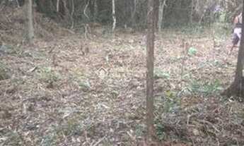 Imagem 7: FLORIANóPOLIS - Terreno Padrão - Tapera da Base