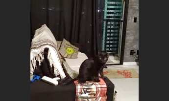 Imagem 3: Apartamento para alugar, 42 m² por R$ 2.683,80/mês - Jardim D Abril - São Paulo/SP