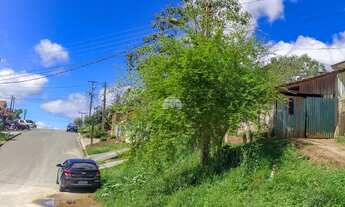 Imagem 4: Terreno Comercial/Residencial para Venda no Roça Grande em Colombo, 360m²