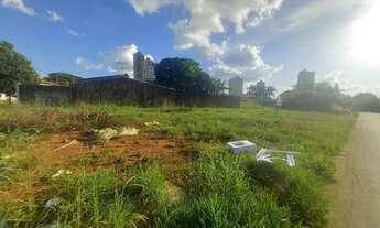 Imagem 5: Área Parque Amazônia