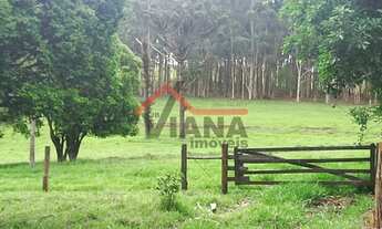 Imagem 5: Fazenda em Área Rural - Pardinho