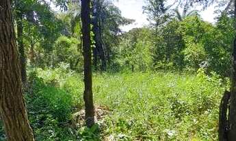 Imagem: Lote com área verde nos fundos em Mateus