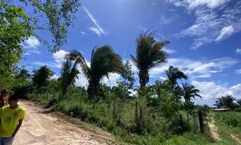 Imagem: Terreno 50x100