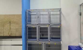 Imagem 2: Vende-se Pet Shop com Consultório Veterinario em Águas Claras