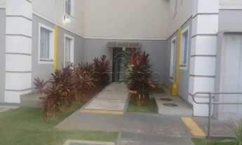 Imagem 7: Apartamento Padrão em São José do Rio Preto