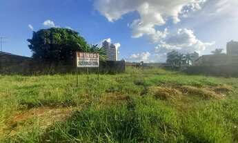 Imagem 3: Área Parque Amazônia