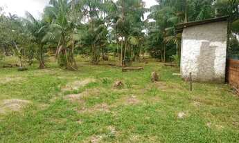 Imagem 4: Terreno a 50 MTS da Pa140