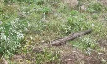 Imagem 3: Terreno ubatumirim em Ubatuba