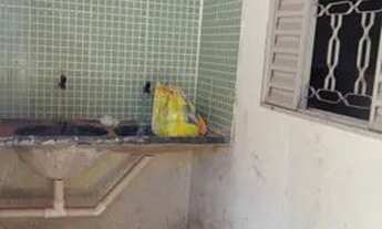 Imagem 5: Casa para venda possui 80 metros quadrados com 3 quartos