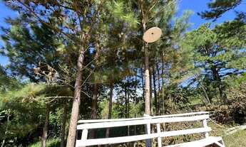 Imagem 4: Vendo um Sítio com riacho 100 metros da RS 020