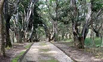 Imagem 2: Terreno altos do cataguá