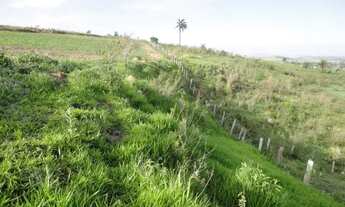 Imagem 3: Vendo Propriedade Direto com o Proprietário