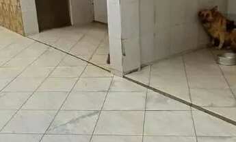 Imagem 8: Linda casa a venda no Nova Varginha