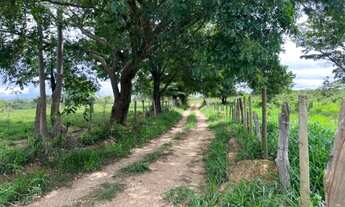 Imagem 5: Fazendinha 5.5 ha, piscina, córrego, terra de cultivo e casa. Jaboticatubas