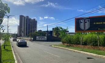 Imagem 3: Terreno 1950 m², avenida dos holandeses, proximo ao sport gardem