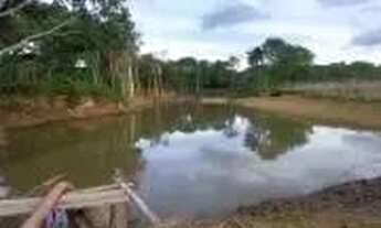 Imagem 3: Fazenda a venda, em Cocalzinho de Goias!!!