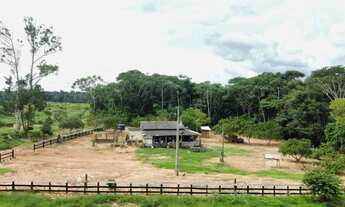 Imagem 6: Fazenda 1.024 hec em nova motum MT. 200hec abertos pega imóveis 30 milhões