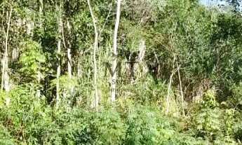 Imagem 4: Terreno bairro Morro Bock, Picada Café.RS Ref.:116