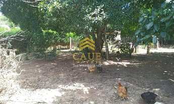 Imagem 4: Imóvel para venda com 600 metros quadrados com 2 quartos em Águas Claras - Viamão - RS